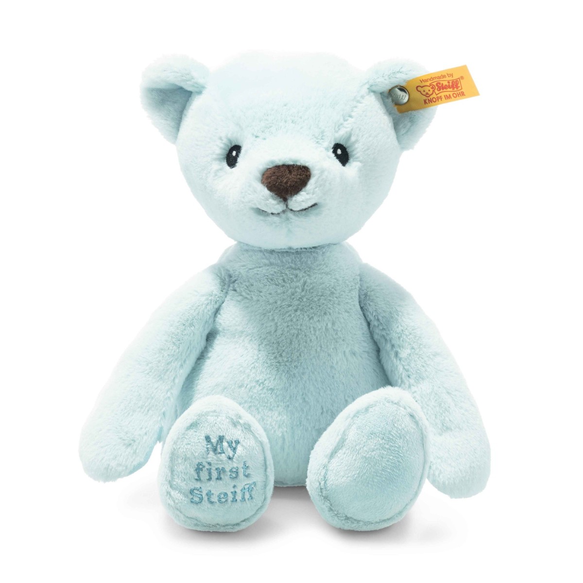 my first teddy bear blue
